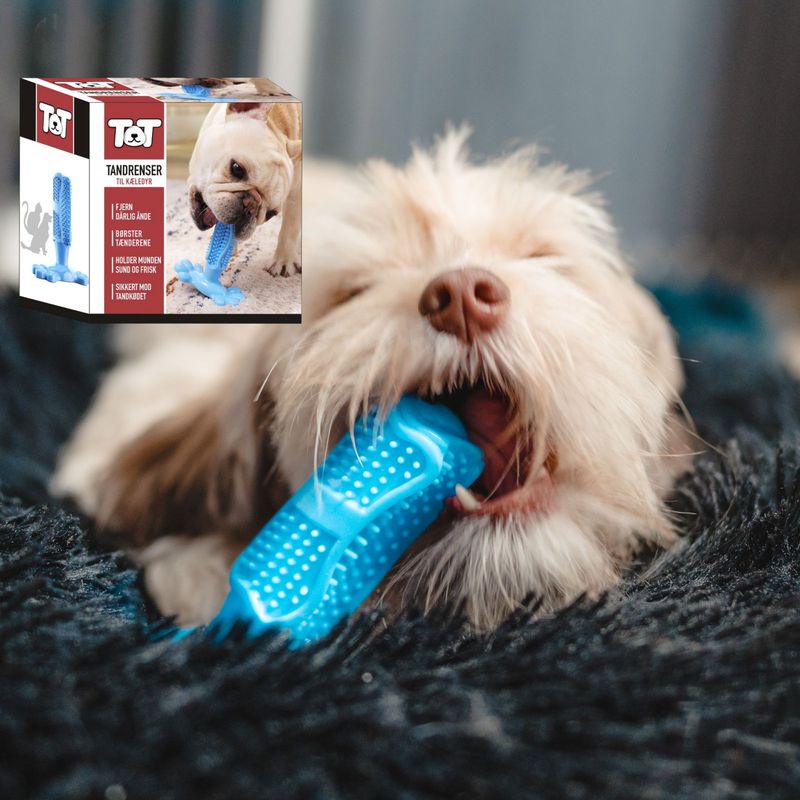 Tannrenser & Biteleke til Hund – Skånsom Tannbørste for Små og Mellomstore Hunder