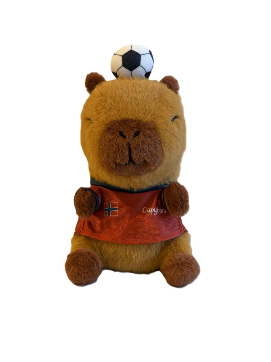 Heia Norge Bamse Flodsvin med Fotball Norsk Flagg