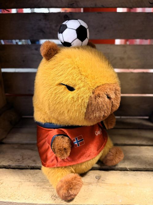Hovedbilde Heia Norge Bamse Flodsvin med Fotball Norsk Flagg
