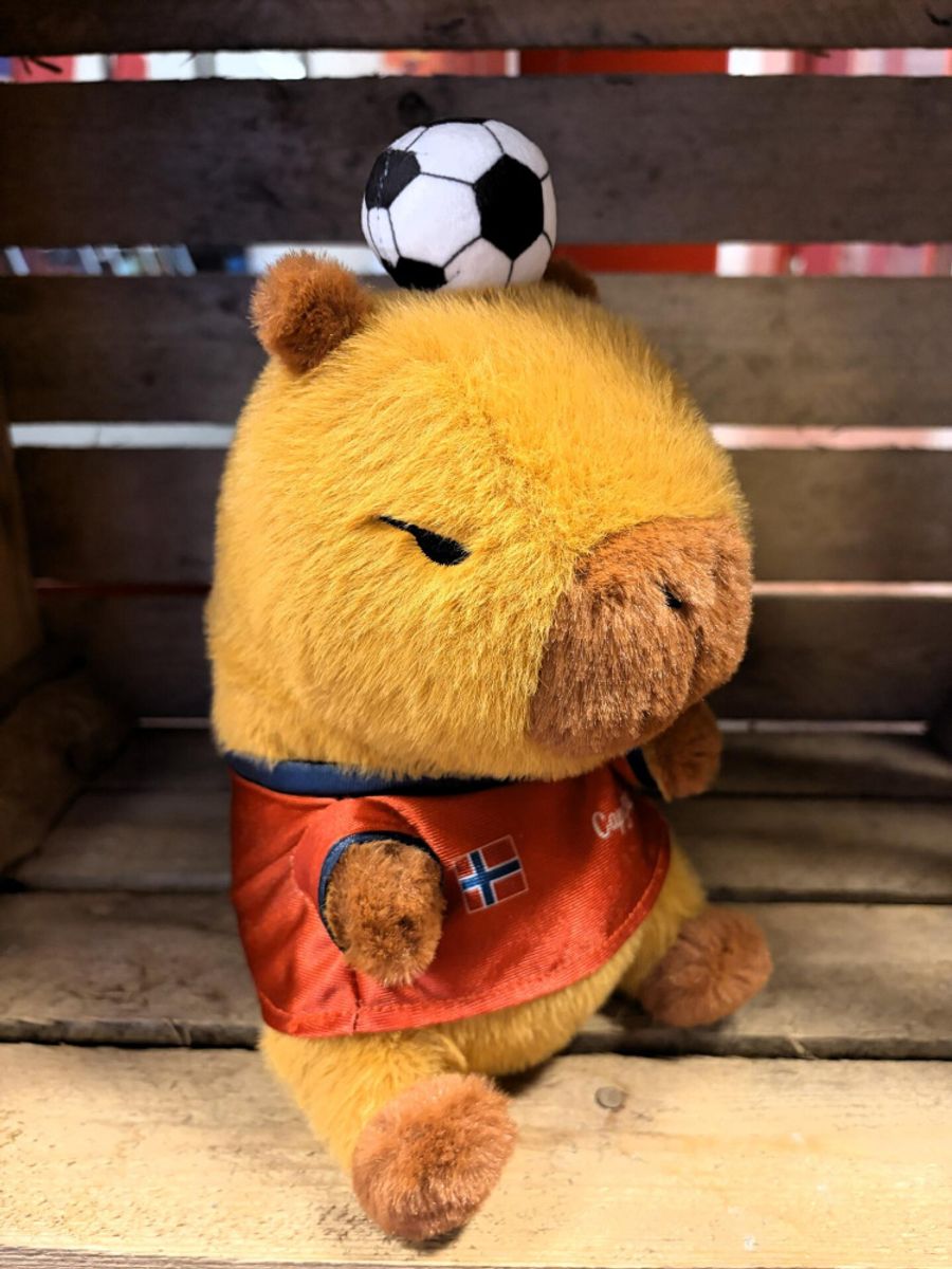 Heia Norge Bamse Flodsvin med Fotball Norsk Flagg