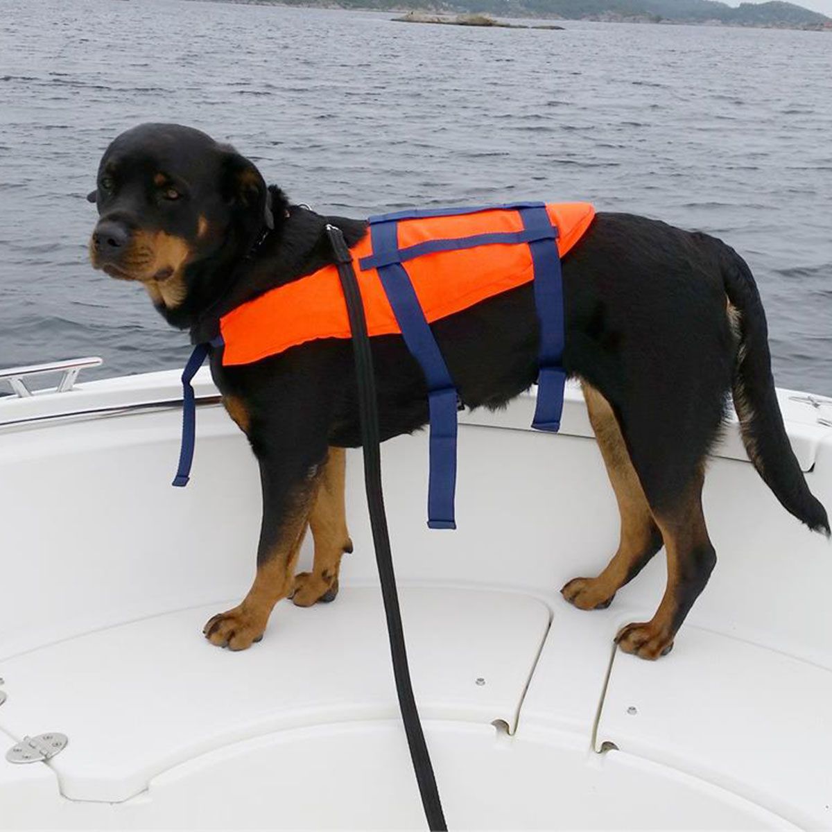 Redningsvest Hund 8-15kg
