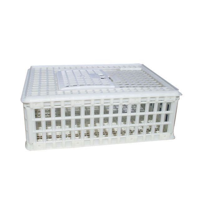 Hovedbilde Sanketeine - Fangstteine - 75x55x26c