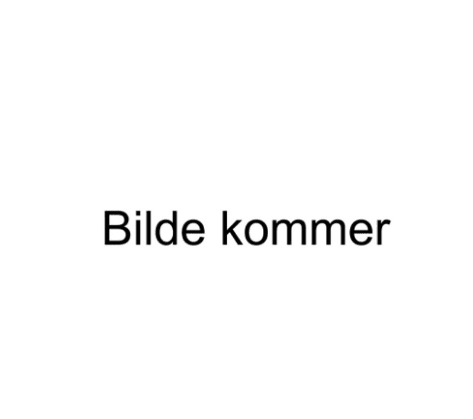 Hovedbilde Beha GB 200 gulvbrakett for LX ovner med skruer  